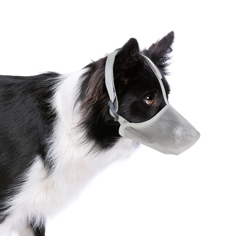 SoftMesh Dog Muzzle