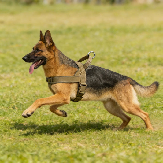 TactiGrip Vest