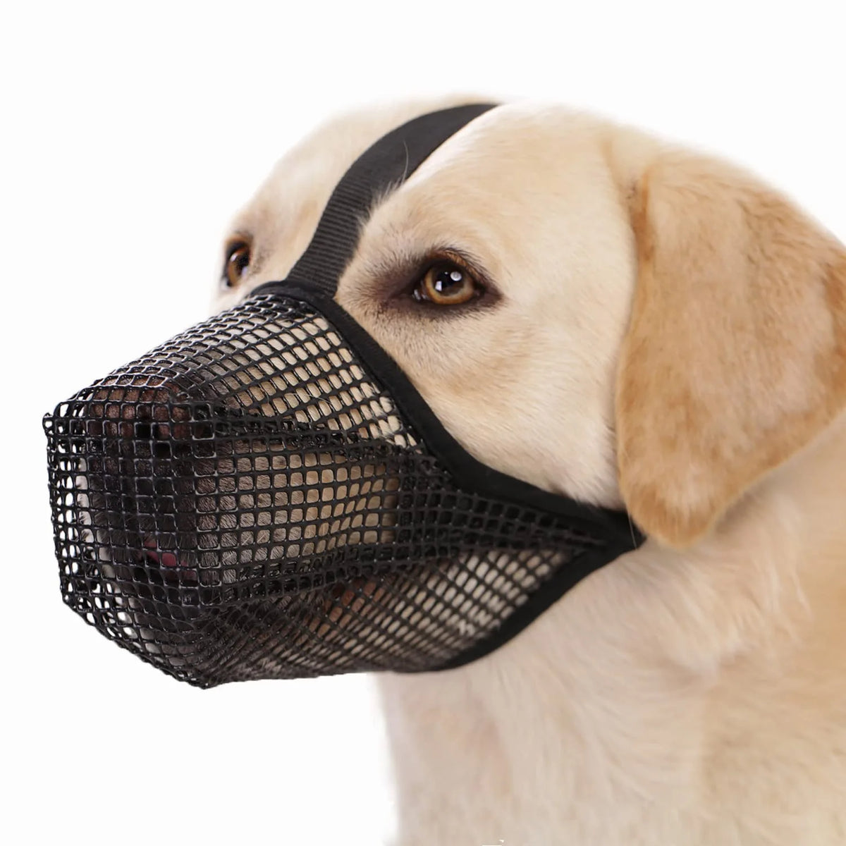 SoftMesh Dog Muzzle